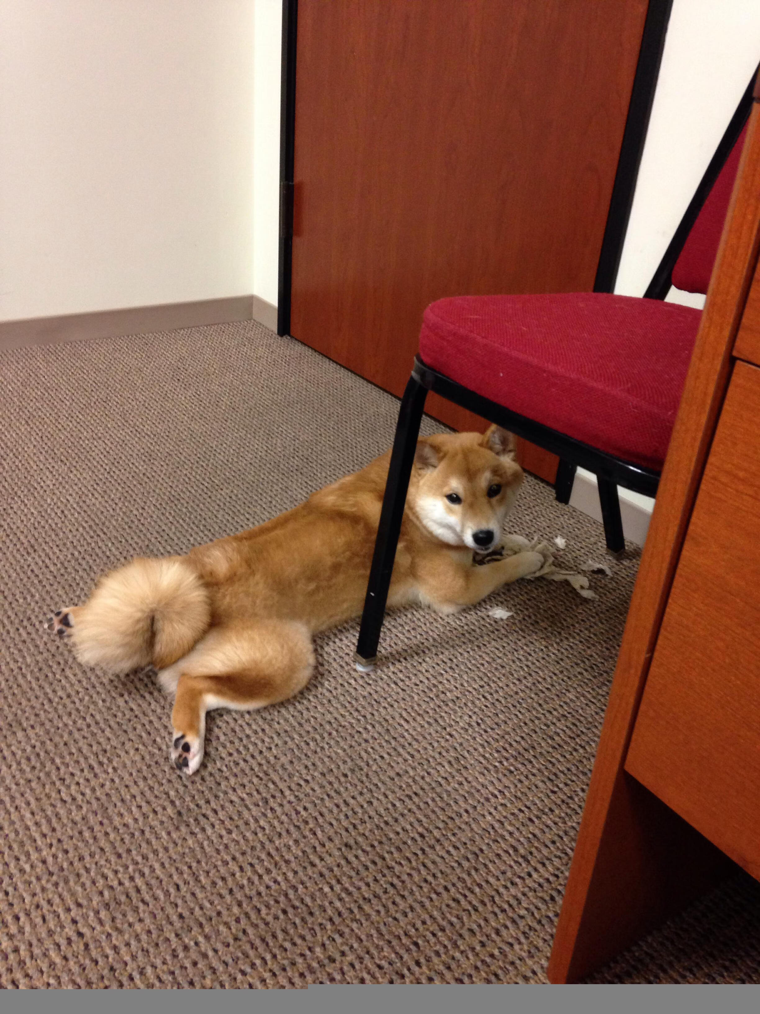 逆转之夜,中国队惊险胜泰国,安赛龙激情点燃全场