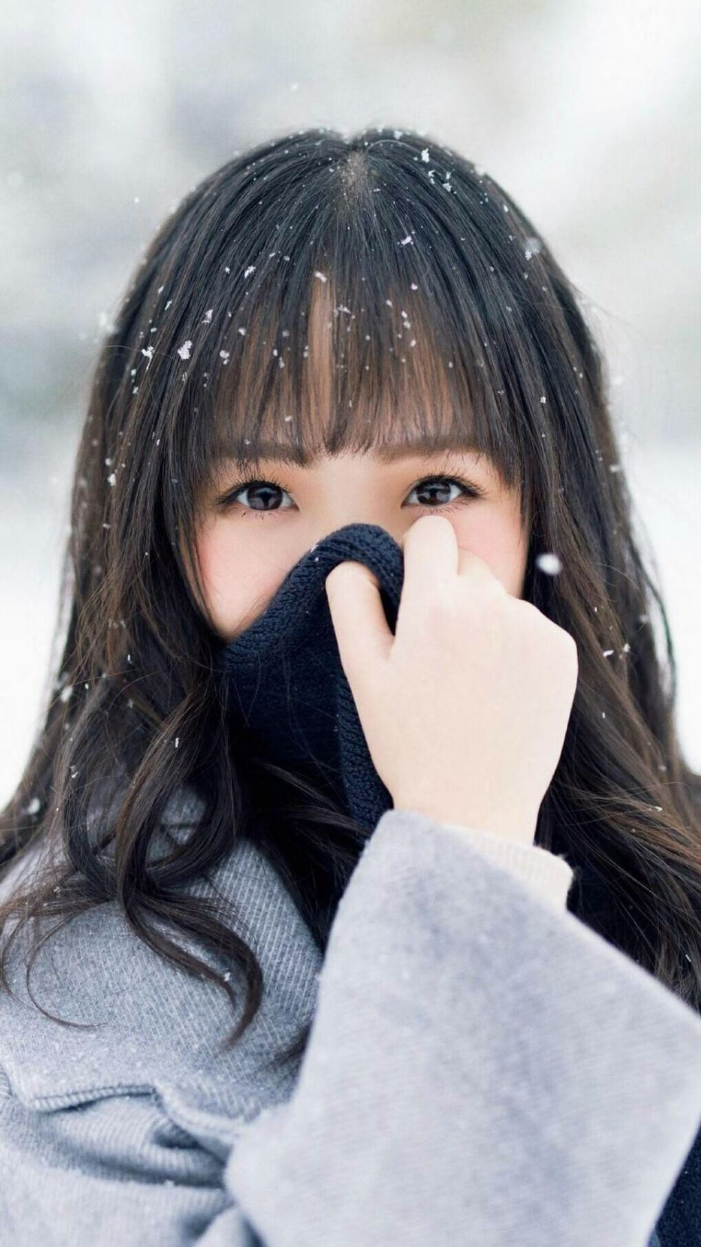 太阳核心无解投射撕裂防线，圣城军团攻守一体踏平奥兰多