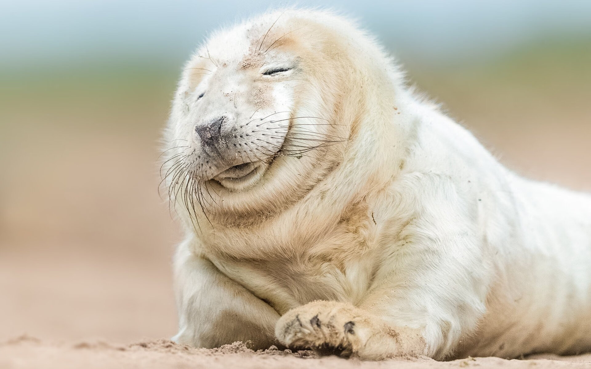 优雅破茧，斯通斯用教科书级表现，定义了年度焦点之战的真正内核