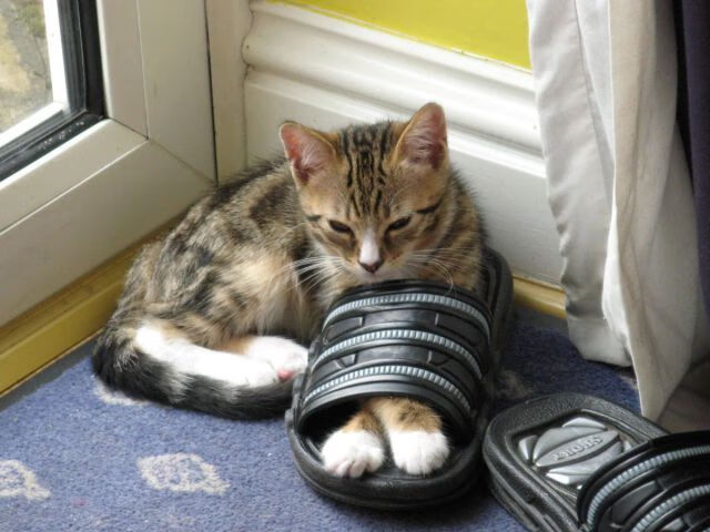 东风粉碎钢铁洪流,烈焰于重压下升腾,论集体韧性与个人英雄主义的今夜共鸣