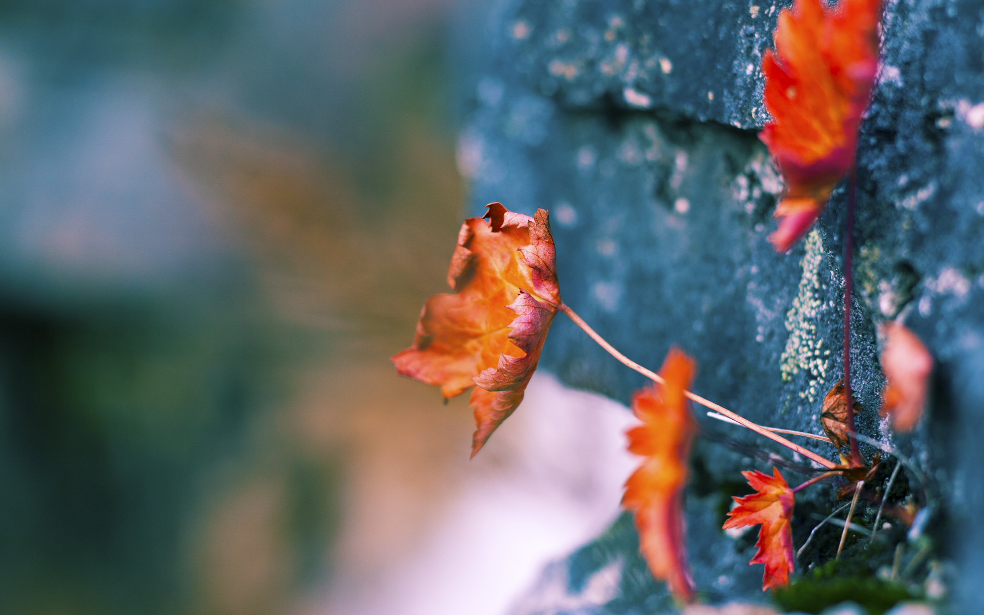 跨越地中海的哨音，基米希如何用一脚传球唤醒突尼斯的奥运之梦