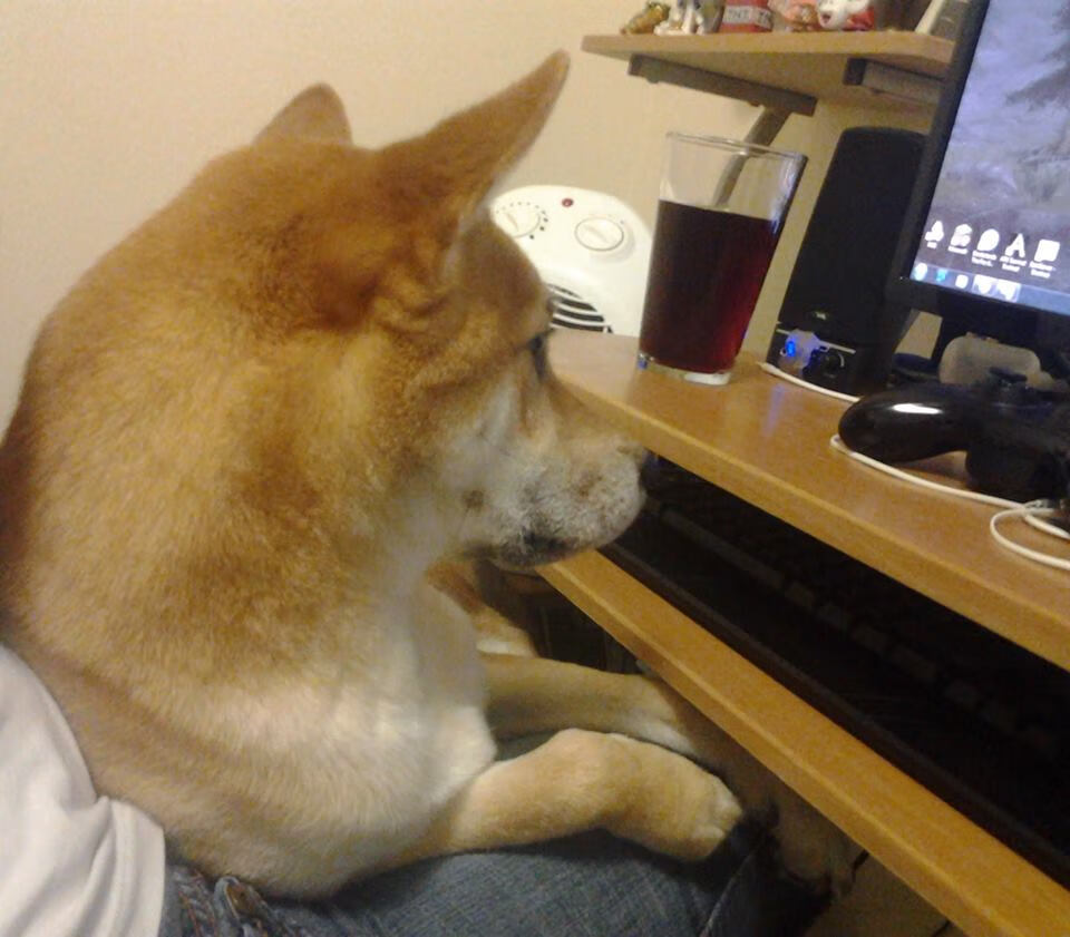 以一敌五!西亚卡姆如星际穿越五维空间战神,导演猛龙不可能逆转奇才