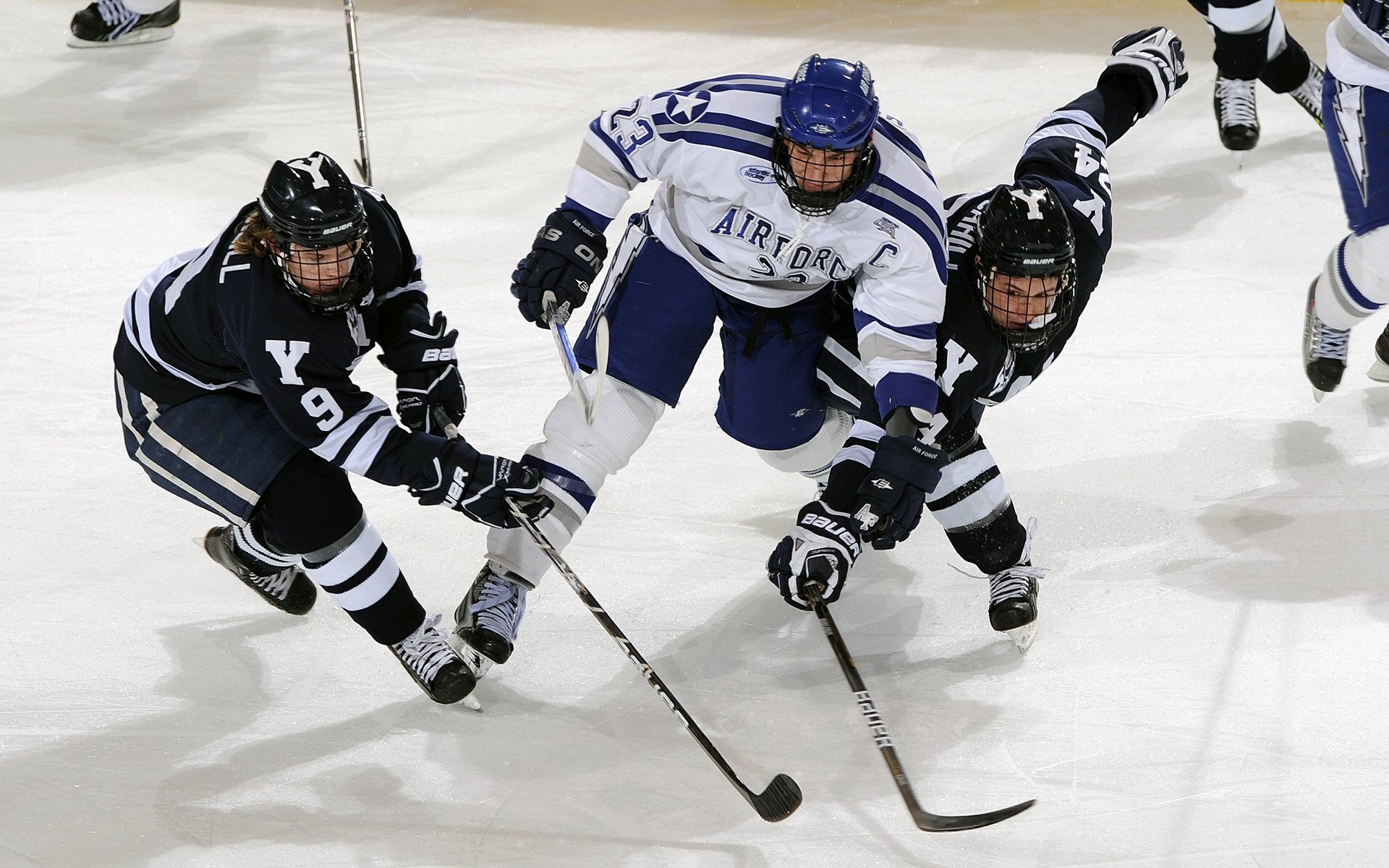 哈登公式,深圳队收割猛龙背后的控场艺术
