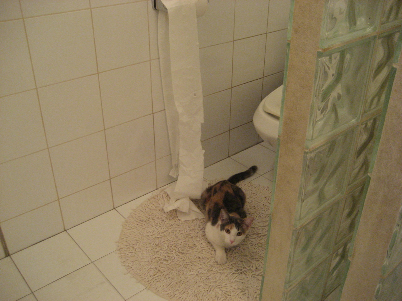 迪巴拉一剑封喉!拉齐奥客场力克挪威劲旅,昂首晋级