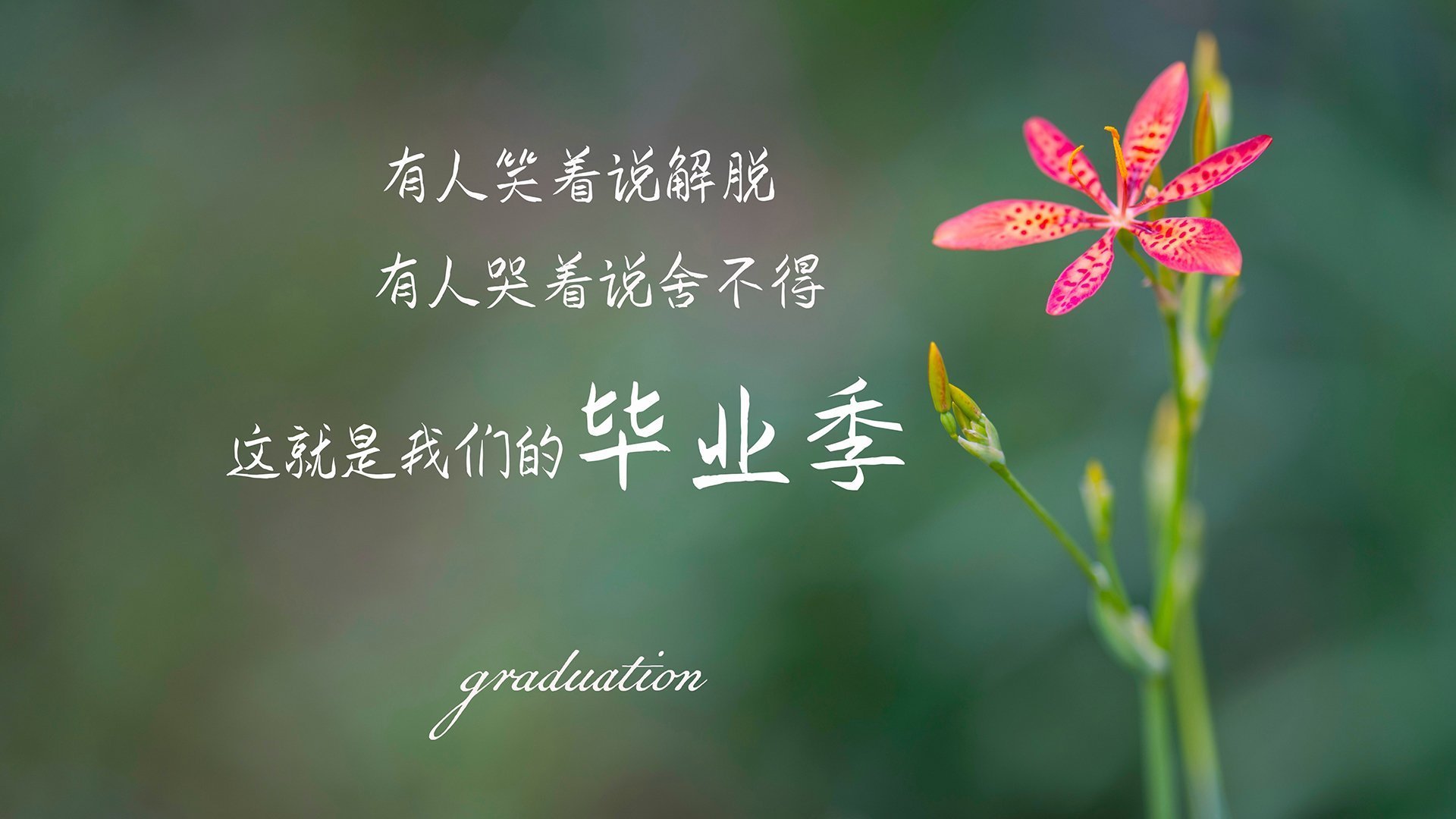 三维齿轮与自由灵魂,当日本式精密击碎北欧童话,卡拉斯科在荒漠画出彩虹