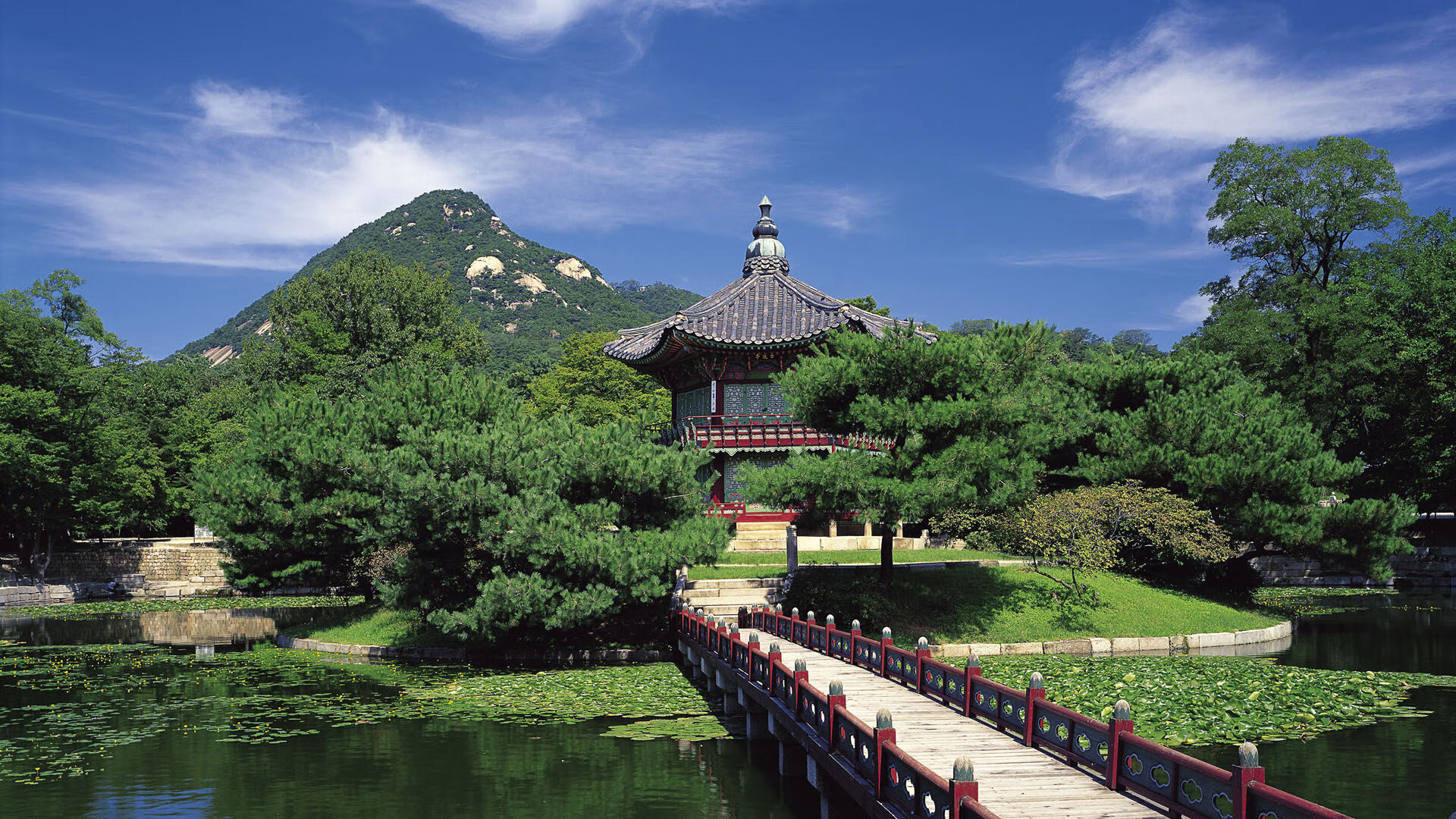 库里转生波特兰,当关键先生成为开拓者制服公牛的最后拼图