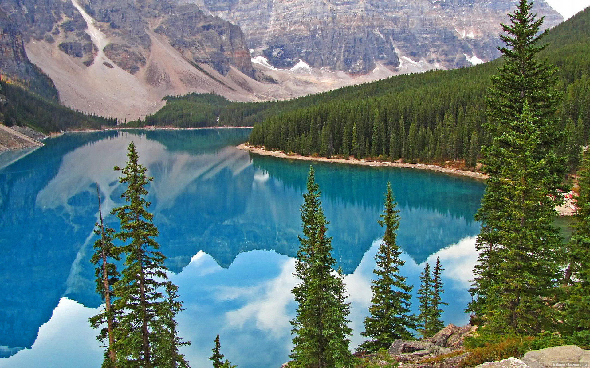 魔术的生死舞台—从NBA对决到世界杯战场,布伦森的双面主宰