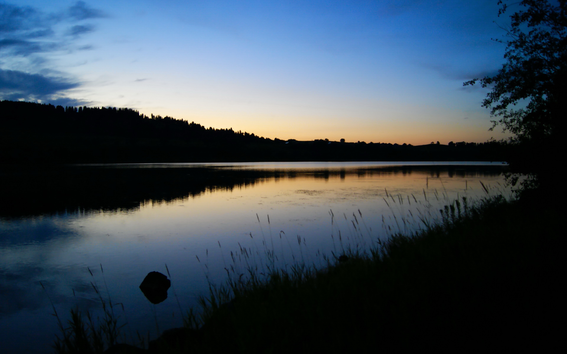 魔术的生死舞台—从NBA对决到世界杯战场,布伦森的双面主宰
