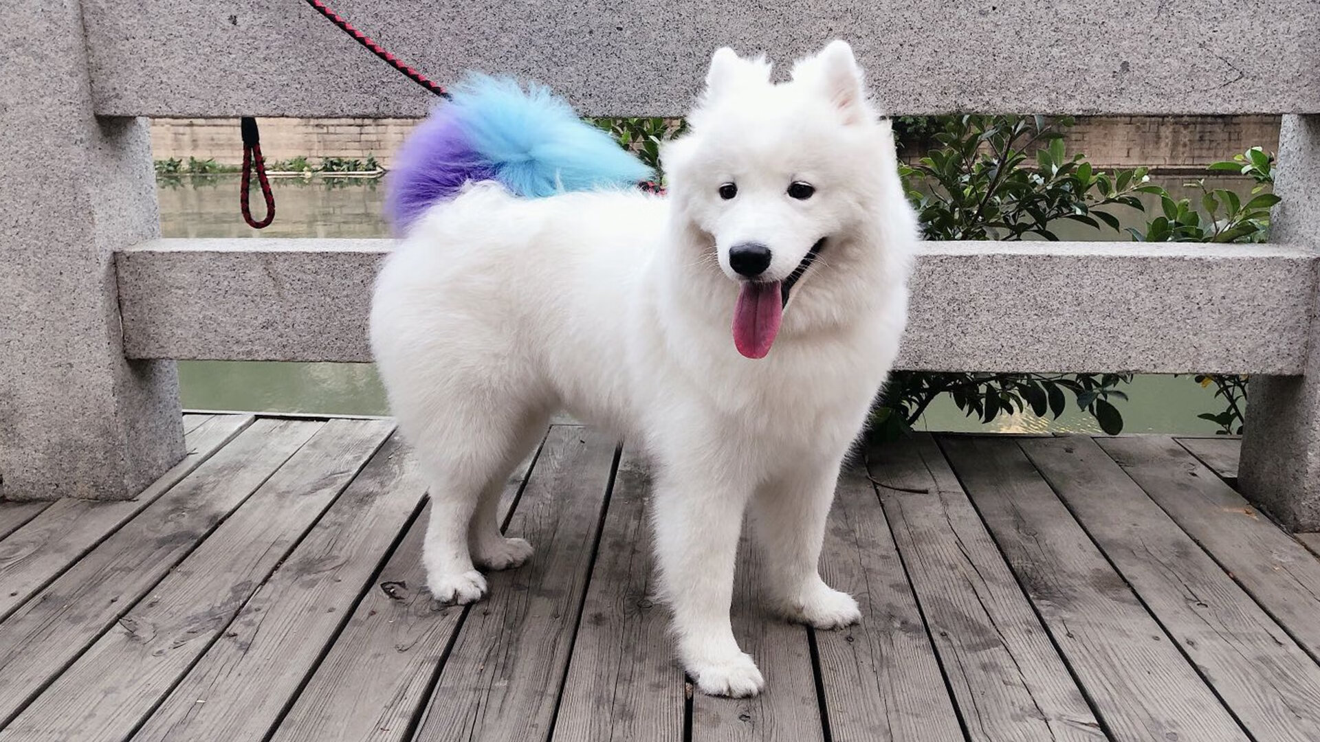 抢七夜唯一主角，被遗忘的楚阿梅尼如何一刀刺穿王朝心脏？