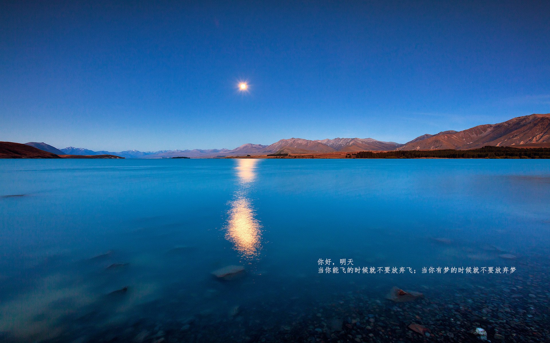 奥运前哨战,灰熊末节发力掀翻绿军,国家队席位争夺白热化