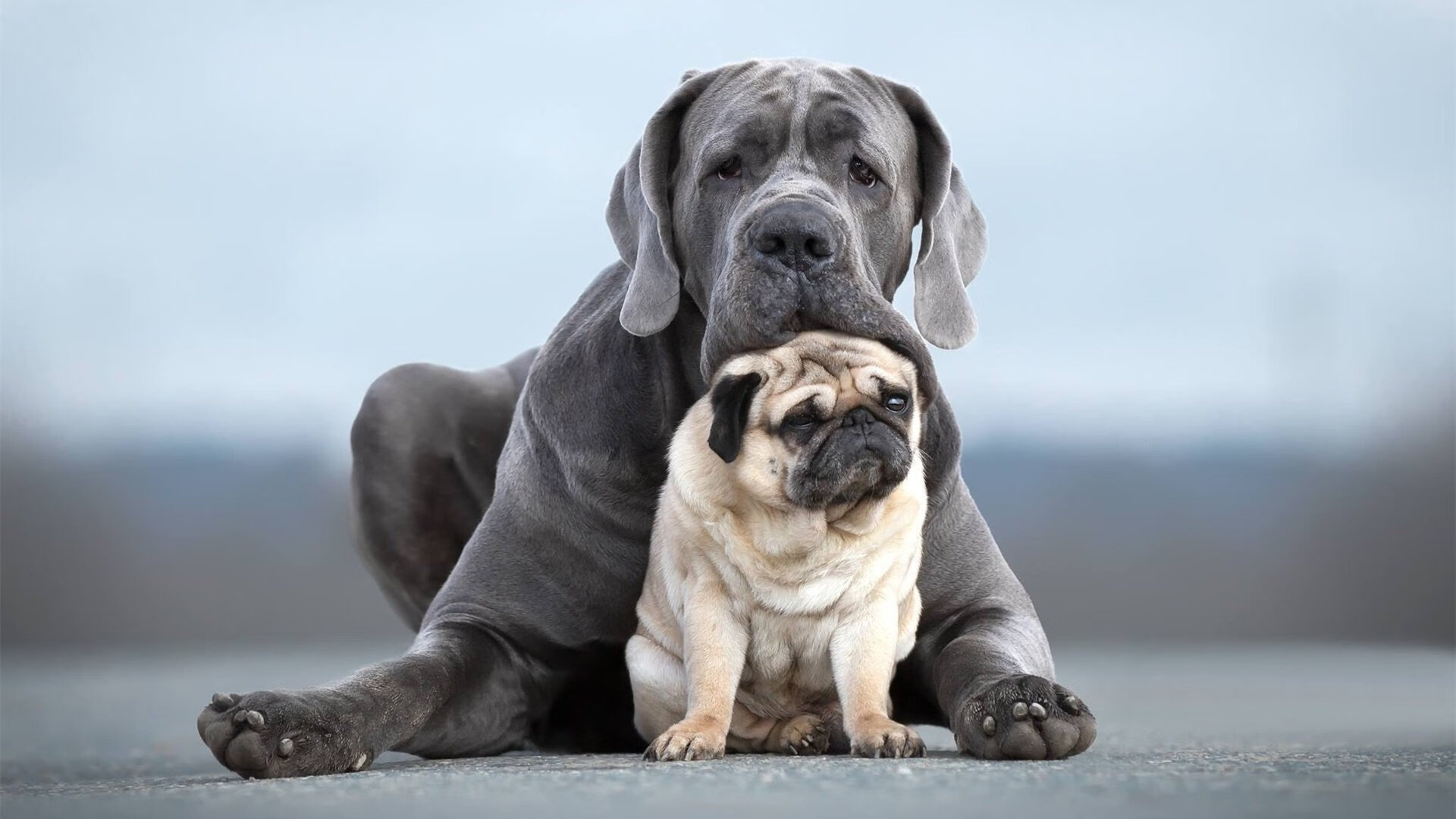 双刀赴会!武切维奇首献绝杀,热火硬仗破开拓者