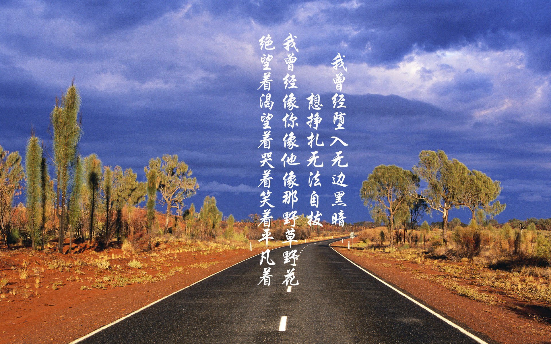 厄瓜多尔与波兰的B组生死战,贝林厄姆,那唯一的关键拼图