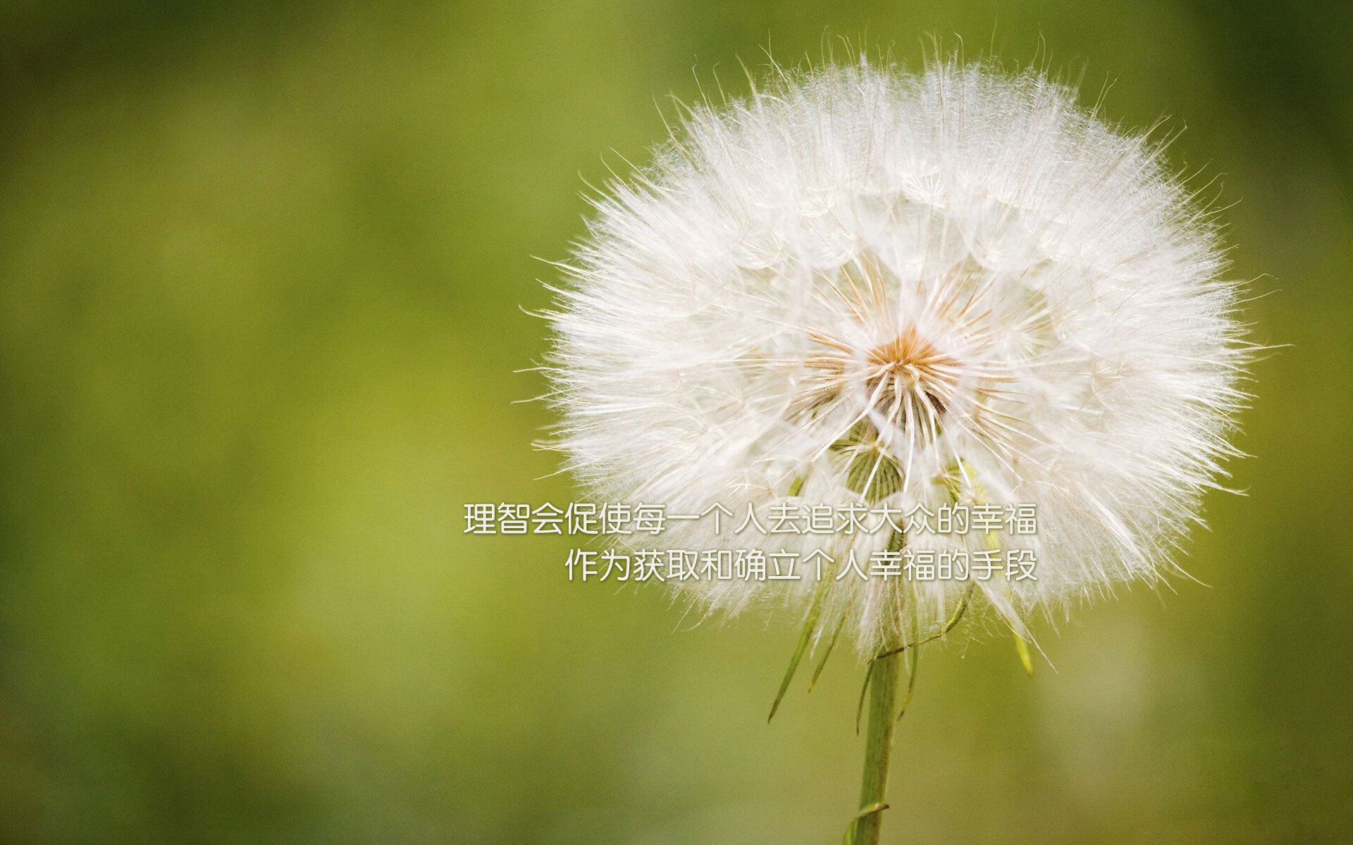 绝境中的斯洛伐克神话，2026世界杯H组关键战，凯恩领衔三狮险胜巴西，门神铸就钢铁防线