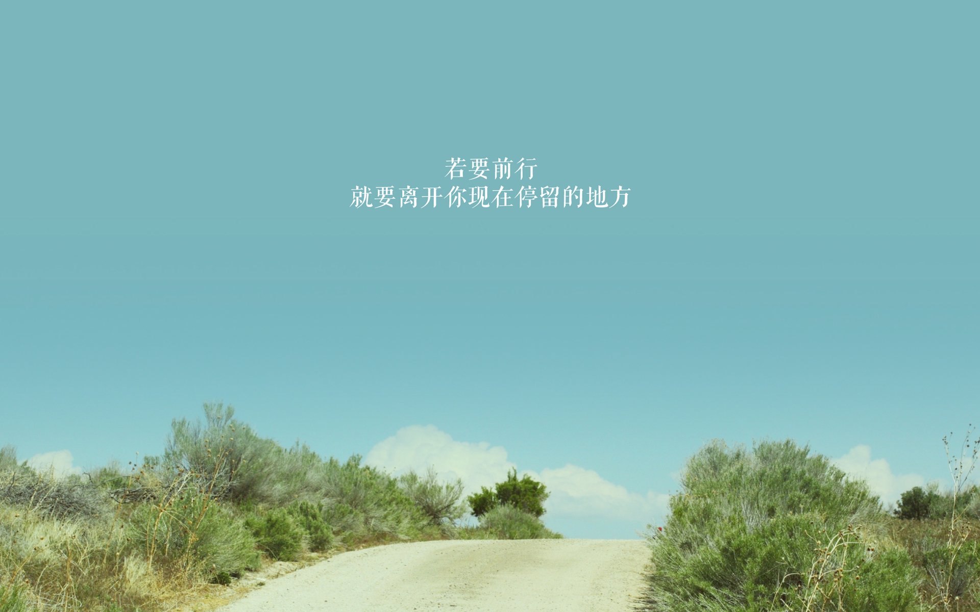 攻守交响曲，卢卡库主宰攻防转换，美国队以唯一性战术力克斯洛伐克—2026世界杯H组焦点战解码