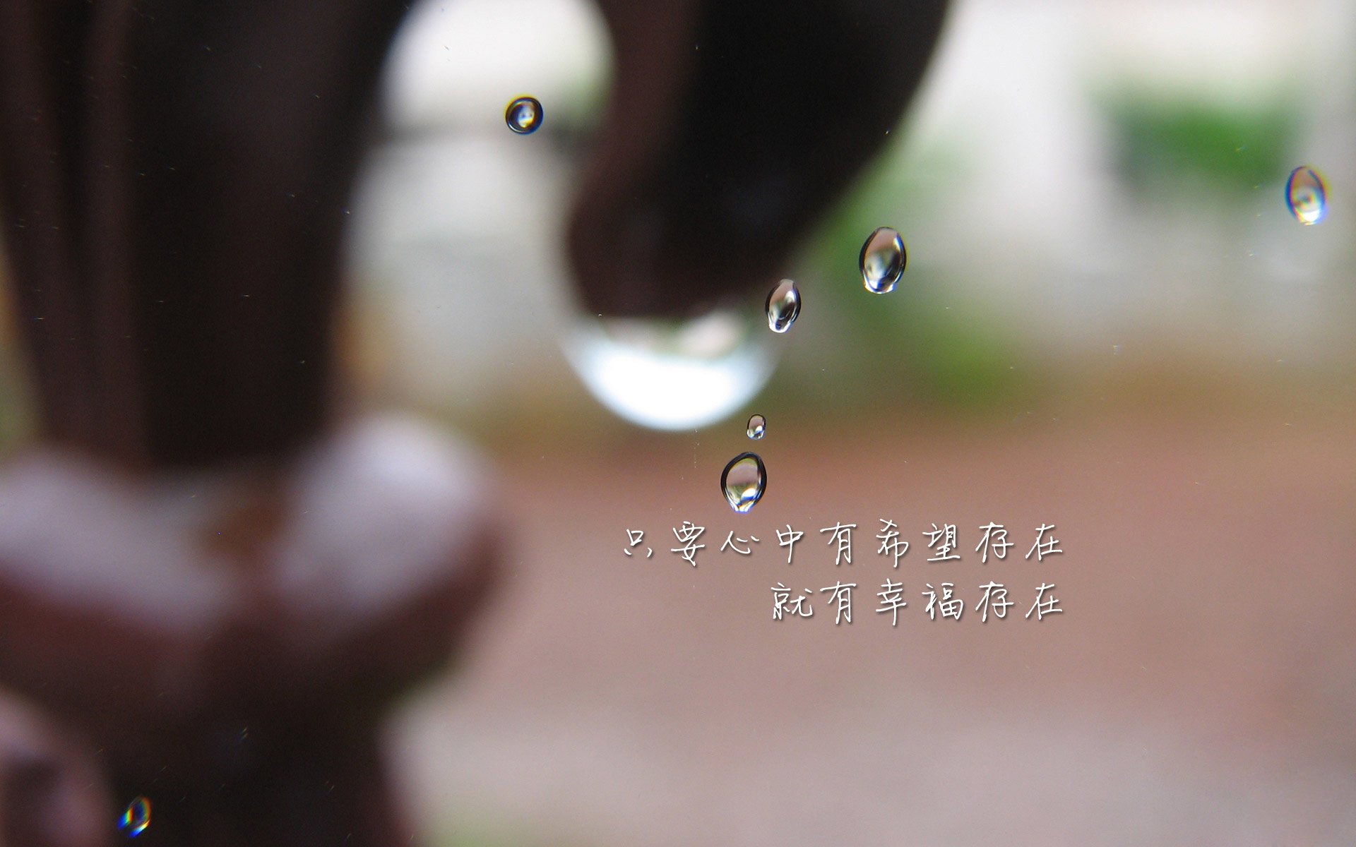 攻守交响曲，卢卡库主宰攻防转换，美国队以唯一性战术力克斯洛伐克—2026世界杯H组焦点战解码