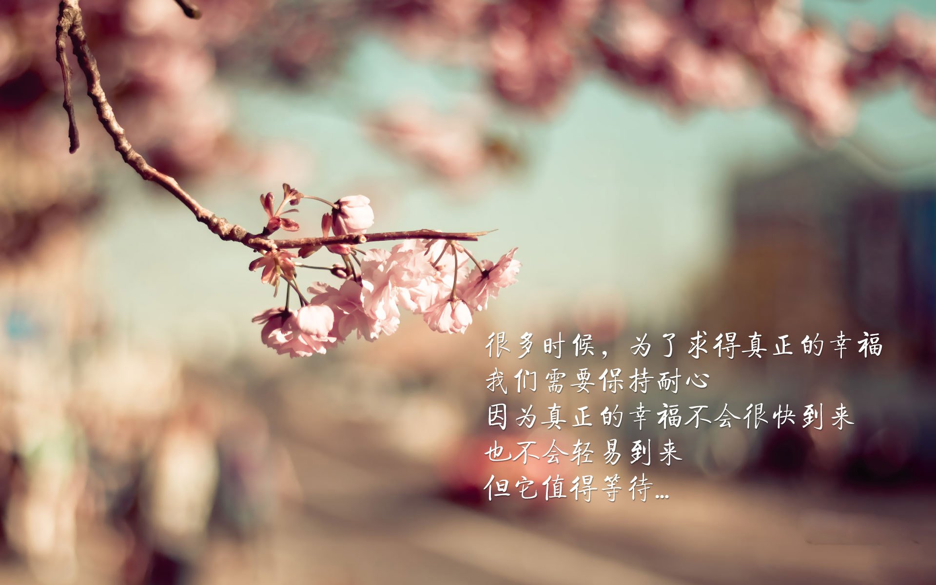 沙漠之狐的独白，2026世界杯出线战，努涅斯用一场胜利为摩洛哥正名