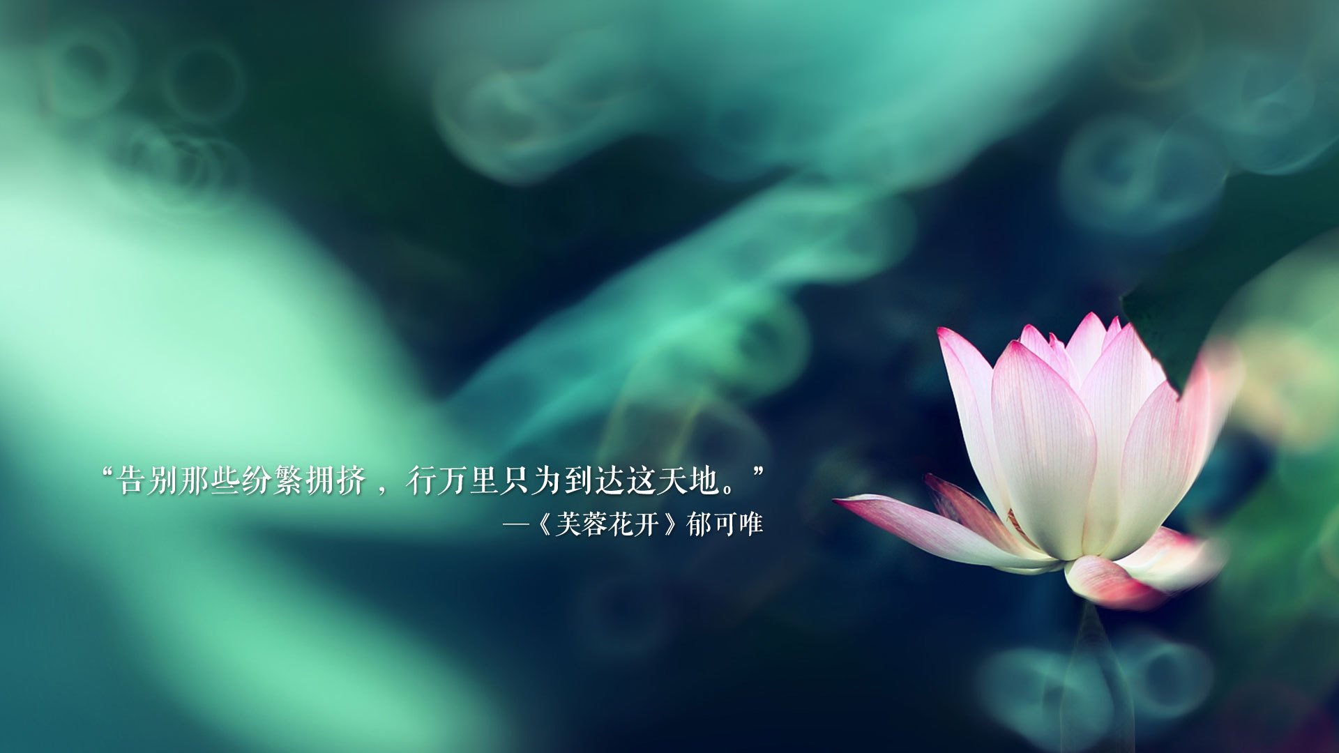 扩展（多角度候选）